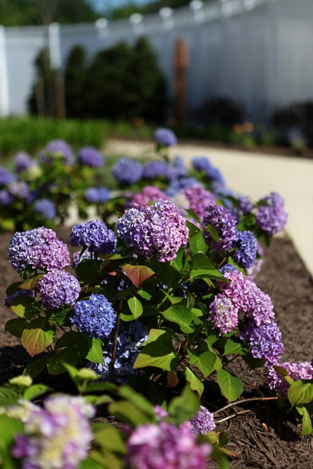 E Landscape Specialty Solutions LLC Brightview South River E