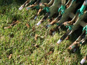 Fall Aeration and Turf Over-Seeding