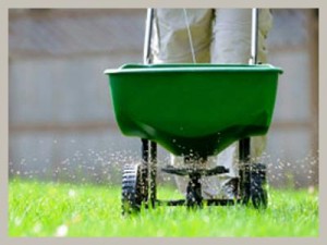 The Benefits of Late Fall Fertilization