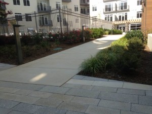 Landscape Installation for Crosswinds Annapolis Towne Centre in Annapolis, MD